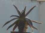 DSCN0499.JPG