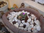 DSCN0520.JPG