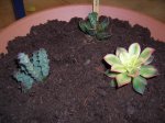 DSCN0521.JPG
