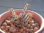 DSCN0523.JPG