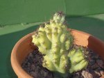 DSCN0525.JPG