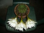 PICT0564.jpg