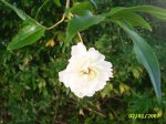 PIC_0067.JPG