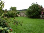 jardin trasero.JPG