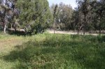 zona2.jpg