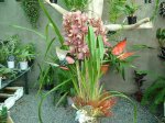 DSC00672.JPG