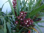DSC00667.JPG