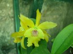 DSC00659.JPG