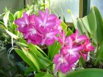 DSC00653.JPG