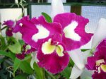 DSC00651.JPG