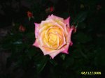 PIC_0005.JPG