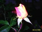 PIC_0012.JPG