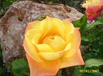 PIC_0015.JPG