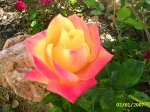 PIC_0019.JPG