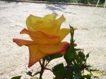 PIC_0022.JPG