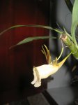 IMG_3506.JPG