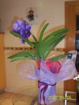 vanda enferma en jarron.jpg