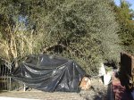 08 Terraza Baja.JPG