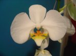 Dsc00505.jpg