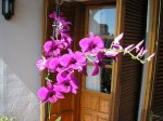 Image00001.jpg