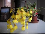 Image00002.jpg