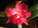 Image00005.jpg