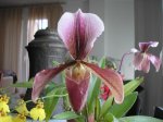 Image00003.jpg
