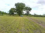 DSC00793.JPG