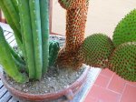 Imagen 012.jpg