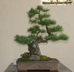 DSC07967.jpg