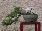 DSC08007.jpg