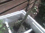 DSC00065.JPG