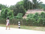 IMG_0909.JPG