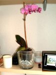 DSCF1307.jpg
