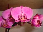 DSCF1308.jpg