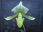 Image00004.jpg
