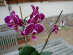 DSCN0801.JPG