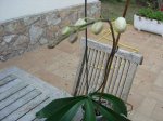 DSCN0798.JPG
