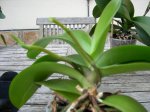 DSCN0802.JPG