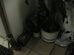 IMG_0251.jpg