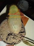 Picture_082.jpg