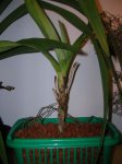 DSCN2598.JPG