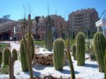 CACTUS_01.jpg