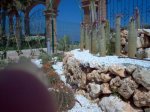 CACTUS_02.jpg