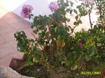 PIC_0001.JPG