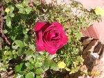 PIC_0051.JPG