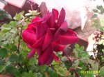 PIC_0056.JPG