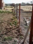 jardin4.jpg