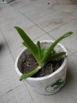 DSCN4565.JPG
