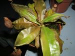 fotos 001.jpg
